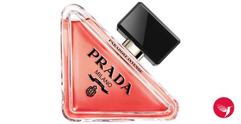 prada paradox intense parfum.